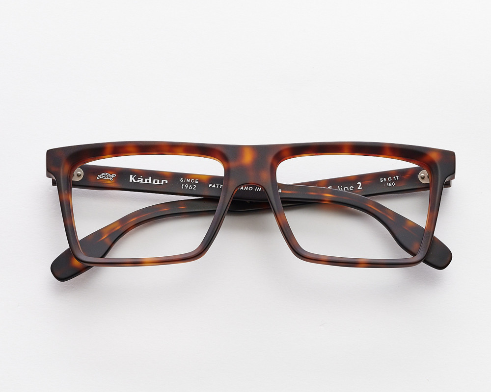 Brown Big Line 2 rectangular optical frame