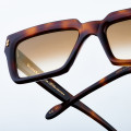 Brown women's sunglasses